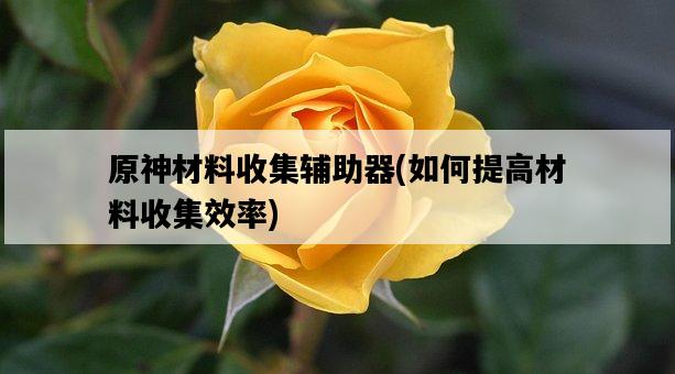 原神材料收集輔助器，如何提高材料收集效率-圖1