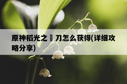 原神稻光之薙刀怎么獲得，詳細攻略分享-圖1