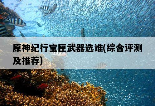 原神紀行寶匣武器選誰，綜合評測及推薦-圖1
