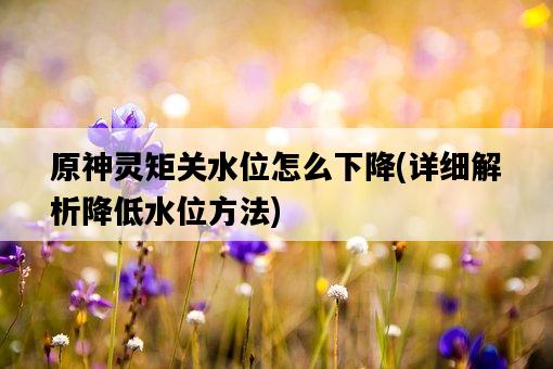 原神靈矩關水位怎么下降，詳細解析降低水位方法-圖1