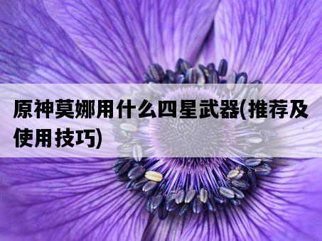 原神莫娜用什么四星武器，推薦及使用技巧-圖1