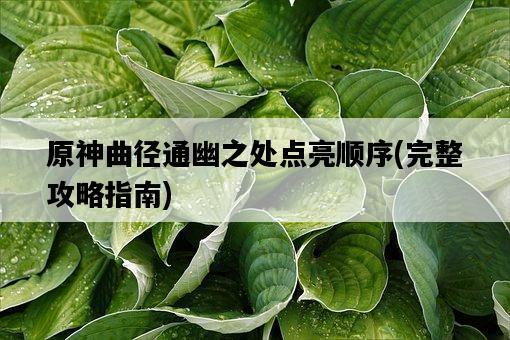 原神曲徑通幽之處點亮順序，完整攻略指南-圖1