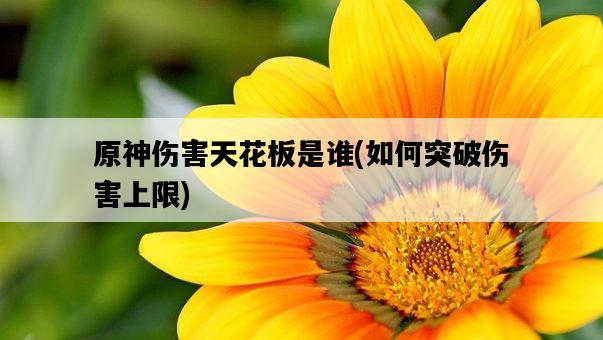 原神傷害天花板是誰，如何突破傷害上限-圖1