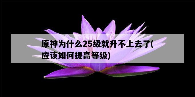 原神為什么25級就升不上去了，應該如何提高等級-圖1