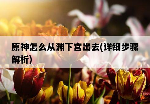原神怎么從淵下宮出去，詳細步驟解析-圖1