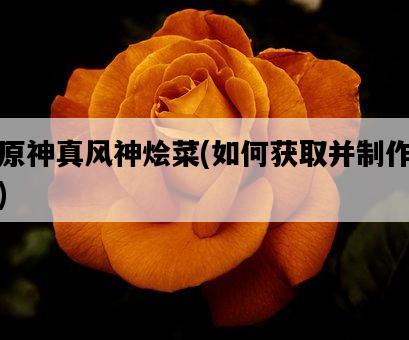 原神真風神燴菜，如何獲取并制作-圖1