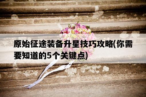 原始征途裝備升星技巧攻略，你需要知道的5個關鍵點-圖1