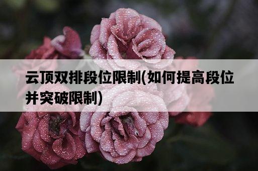 云頂雙排段位限制，如何提高段位并突破限制-圖1