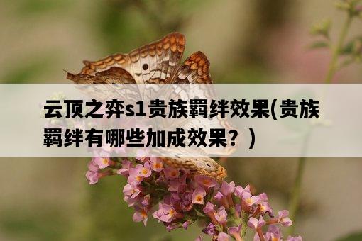 云頂之弈s1貴族羈絆效果，貴族羈絆有哪些加成效果？-圖1