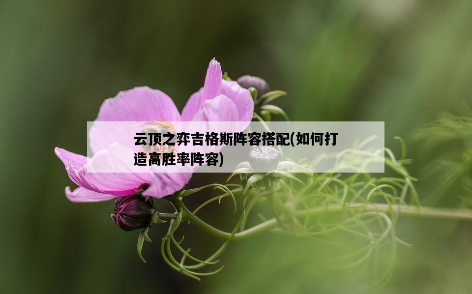 云頂之弈吉格斯陣容搭配，如何打造高勝率陣容-圖1