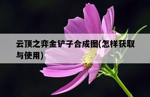 云頂之弈金鏟子合成圖，怎樣獲取與使用-圖1