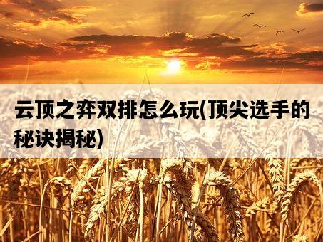 云頂之弈雙排怎么玩，頂尖選手的秘訣揭秘-圖1