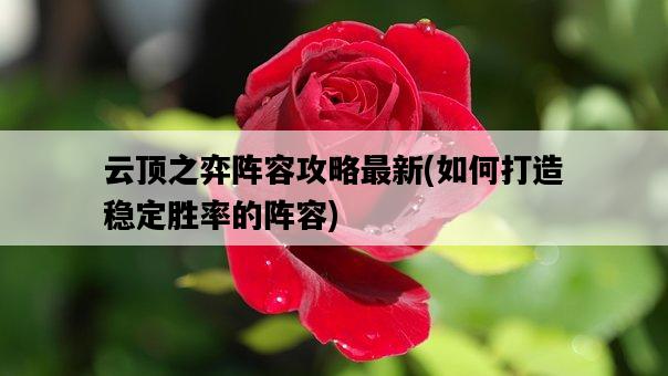 云頂之弈陣容攻略最新，如何打造穩定勝率的陣容-圖1