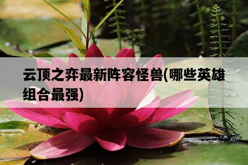云頂之弈最新陣容怪獸，哪些英雄組合最強-圖1