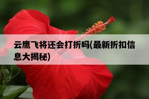 云鷹飛將還會打折嗎，最新折扣信息大揭秘-圖1