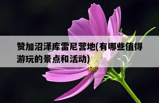 贊加沼澤庫雷尼營地，有哪些值得游玩的景點和活動-圖1