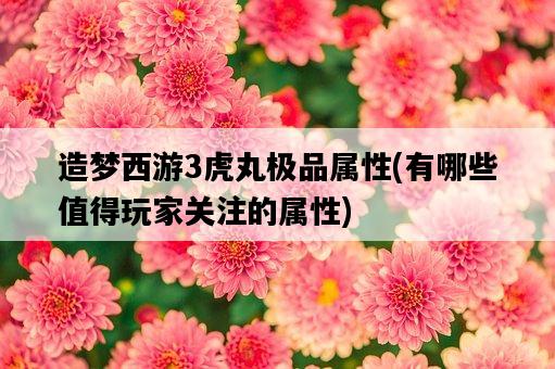 造夢西游3虎丸極品屬性，有哪些值得玩家關注的屬性-圖1