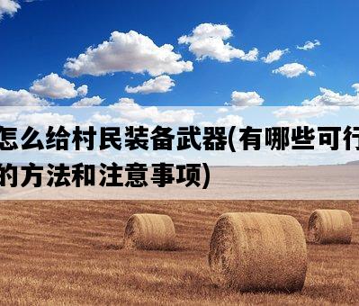 怎么給村民裝備武器，有哪些可行的方法和注意事項-圖1