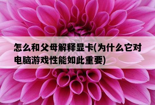 怎么和父母解釋顯卡，為什么它對電腦游戲性能如此重要-圖1