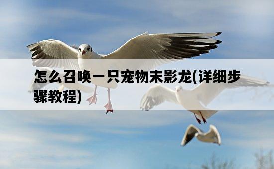 怎么召喚一只寵物末影龍，詳細步驟教程-圖1