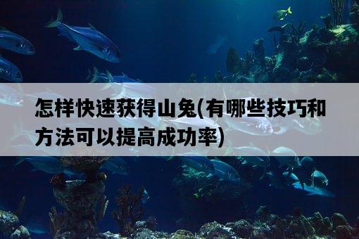 怎樣快速獲得山兔，有哪些技巧和方法可以提高成功率-圖1