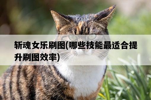斬魂女樂刷圖，哪些技能最適合提升刷圖效率-圖1