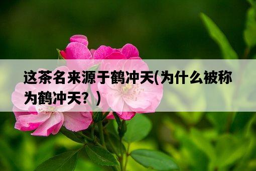 這茶名來源于鶴沖天，為什么被稱為鶴沖天？-圖1