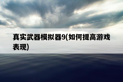 真實武器模擬器9，如何提高游戲表現-圖1