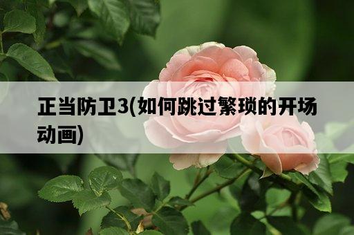 正當防衛3，如何跳過繁瑣的開場動畫-圖1