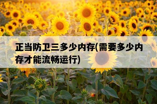正當防衛三多少內存，需要多少內存才能流暢運行-圖1