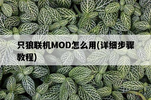 只狼聯機MOD怎么用，詳細步驟教程-圖1