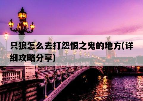 只狼怎么去打怨恨之鬼的地方，詳細攻略分享-圖1