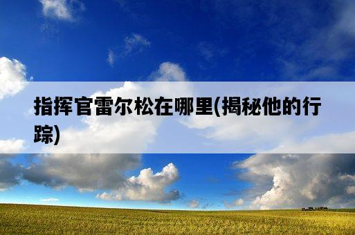 指揮官雷爾松在哪里，揭秘他的行蹤-圖1