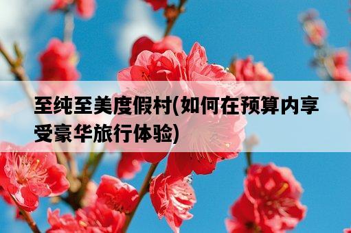 至純至美度假村，如何在預算內享受豪華旅行體驗-圖1