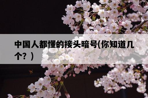 中國人都懂的接頭暗號，你知道幾個？-圖1