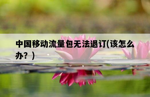 中國移動流量包無法退訂，該怎么辦？-圖1