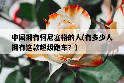 中國擁有柯尼塞格的人，有多少人擁有這款超級跑車？-圖1