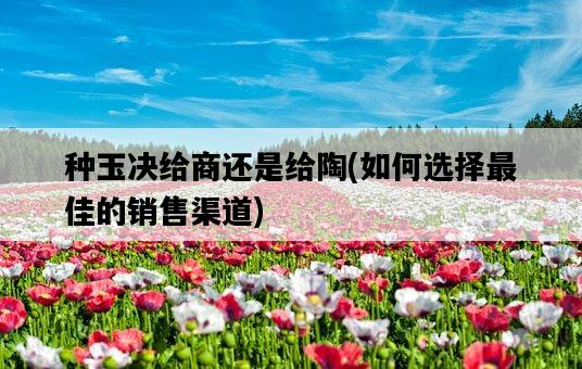 種玉決給商還是給陶，如何選擇最佳的銷售渠道-圖1