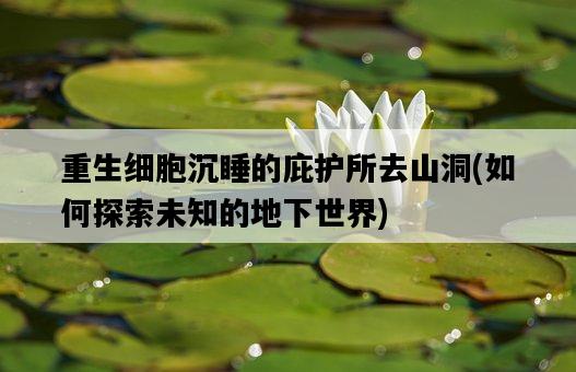 重生細胞沉睡的庇護所去山洞，如何探索未知的地下世界-圖1