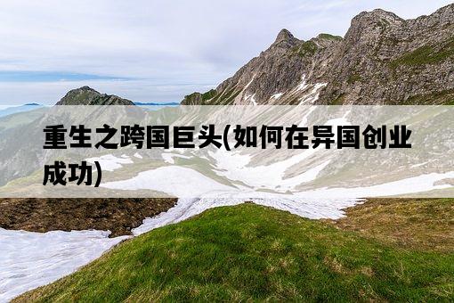重生之跨國巨頭，如何在異國創業成功-圖1