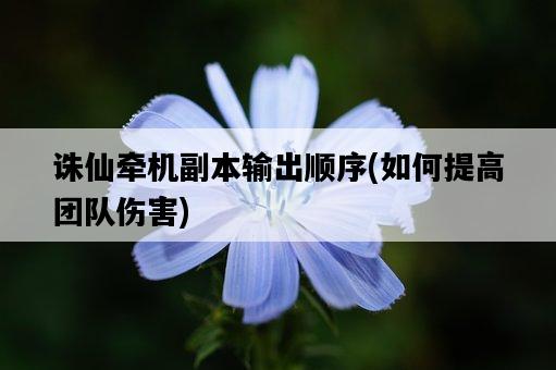誅仙牽機副本輸出順序，如何提高團隊傷害-圖1
