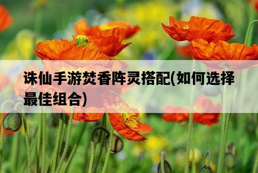 誅仙手游焚香陣靈搭配，如何選擇最佳組合-圖1