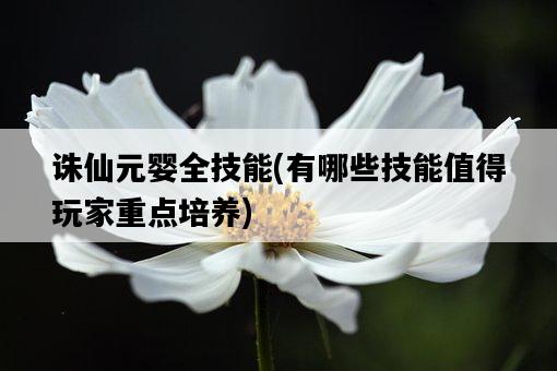 誅仙元嬰全技能，有哪些技能值得玩家重點培養-圖1
