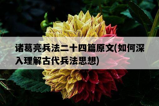 諸葛亮兵法二十四篇原文，如何深入理解古代兵法思想-圖1