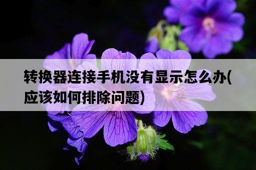 轉換器連接手機沒有顯示怎么辦，應該如何排除問題-圖1