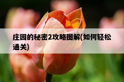 莊園的秘密2攻略圖解，如何輕松通關-圖1