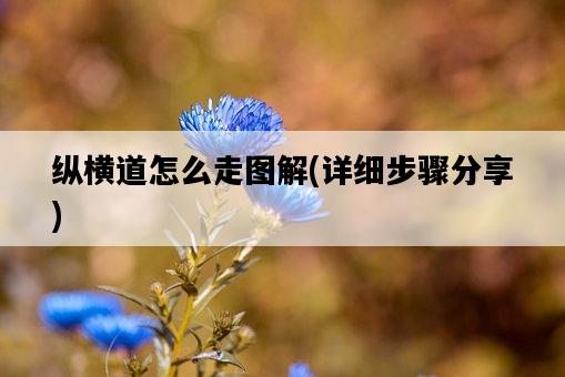 縱橫道怎么走圖解，詳細步驟分享-圖1