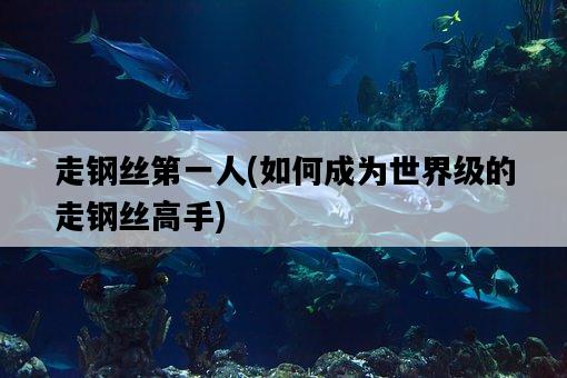走鋼絲第一人，如何成為世界級的走鋼絲高手-圖1