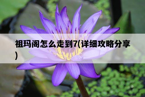 祖瑪閣怎么走到7，詳細攻略分享-圖1