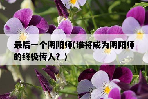 最后一個陰陽師，誰將成為陰陽師的終極傳人？-圖1